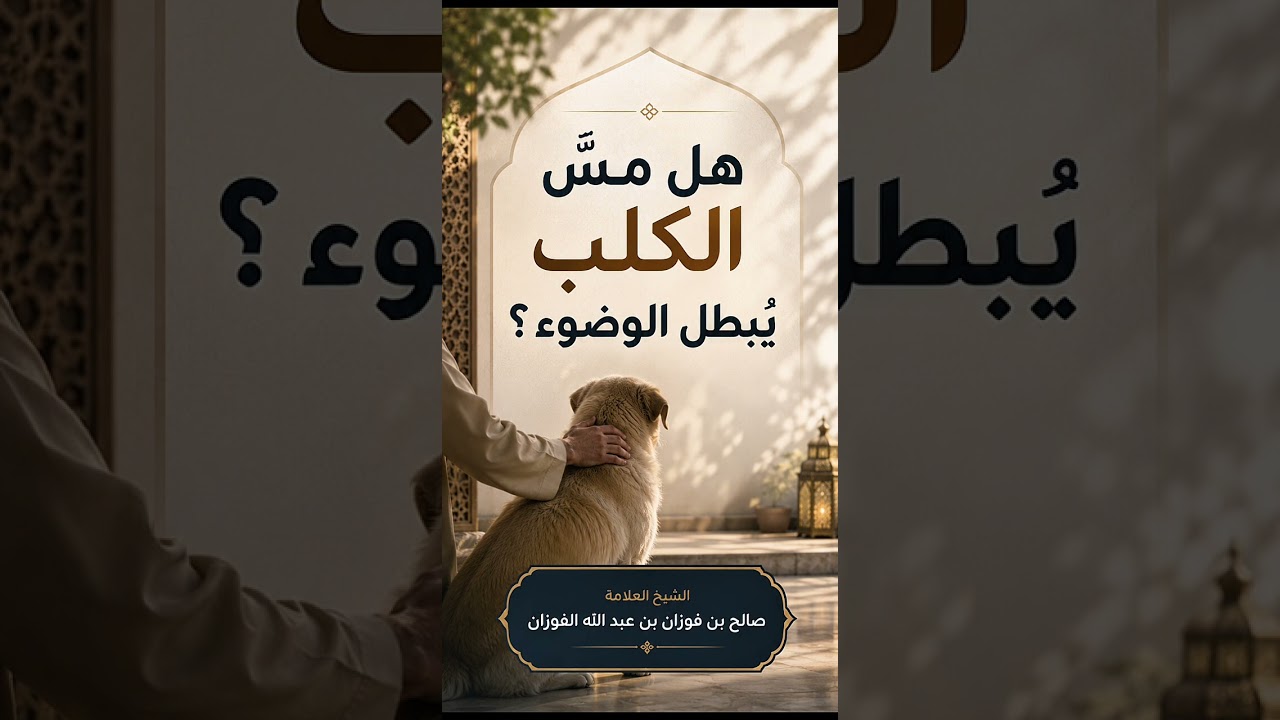 هل مسُّ الكلب يُبطل الوضوء ؟ الشيخ العلامة صالح بن فوزان بن عبد الله الفوزان .