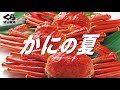 くら寿司CM 旬の極み かにフェア