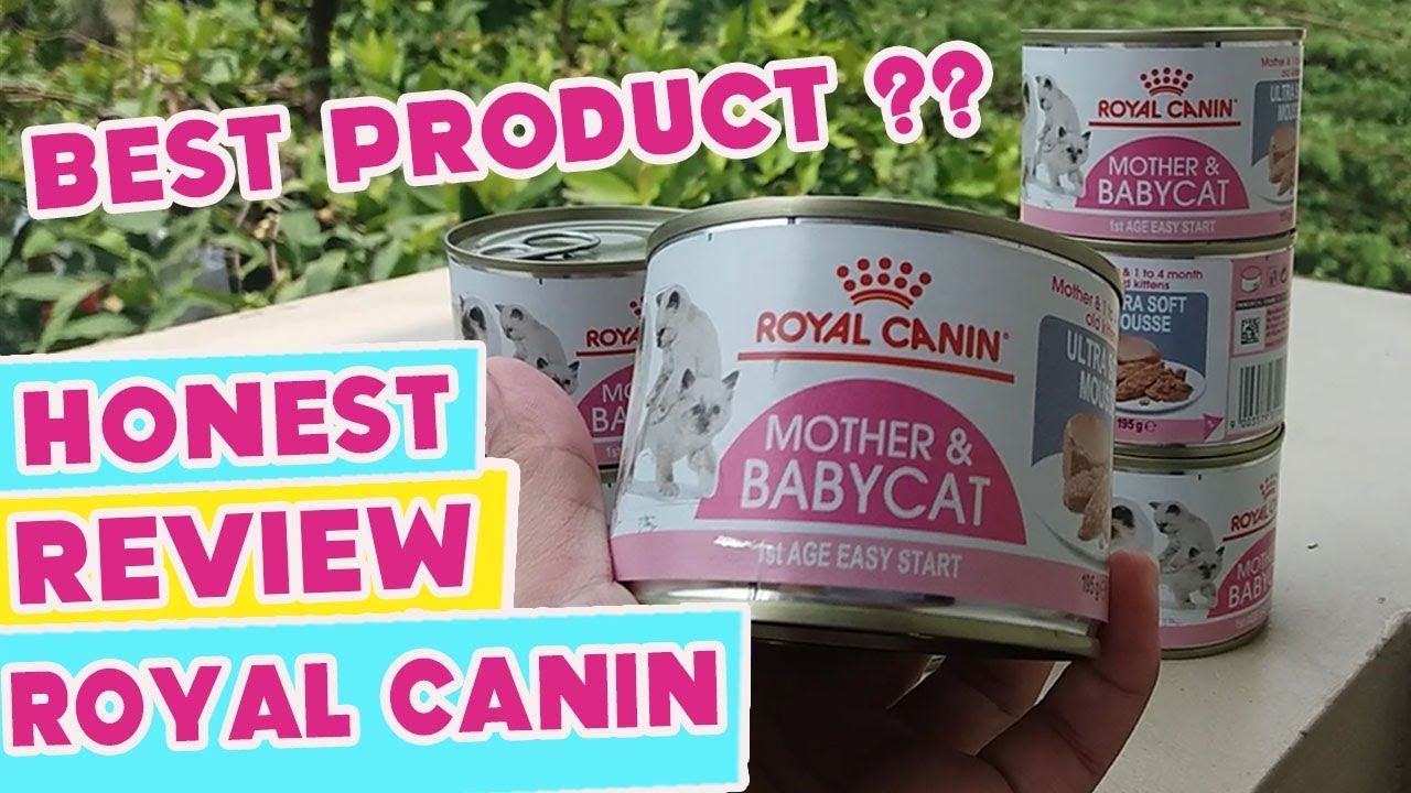 royal canin mother and baby cat canned food