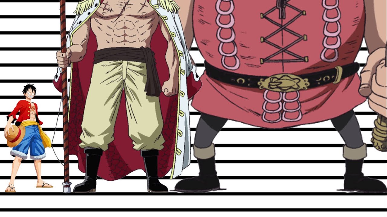 One Piece Size Comparison Tallest Characters - YouTube