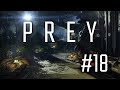 Prey #18 - Вот козёл!
