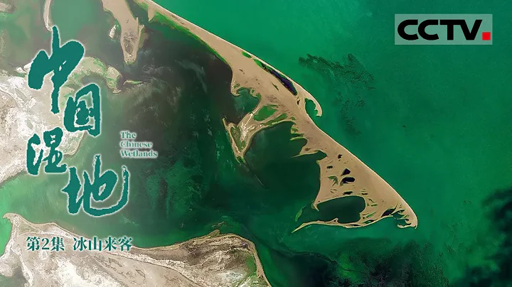 《中国湿地》第2集 黄河的第一个休憩所就在这！扎陵湖和鄂陵湖 两湖的总蓄水量相当于黄河年总流量的28% The Chinese Wetlands【CCTV纪录】 - 天天要闻