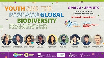 IUCN Global Youth Summit- Youth and the Post 2020 Biodiversity Framework