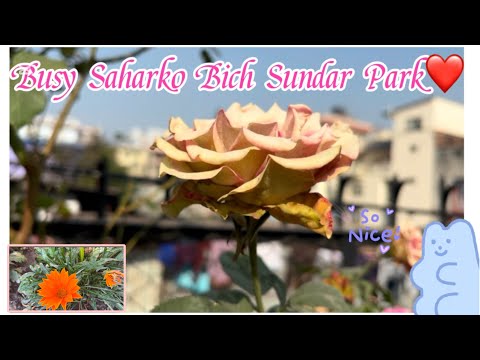 Beautiful Garden In The Midest Of The Buddhanagar New Baneshwer Visiting Nearby Park Sarulimbu 123 Ss