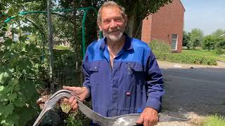 Blauwe Reiger 1 Youtube Sd 480P