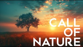 Aura Echo - Calm Tones of Nature [1 hour] Calming, Nature, Anti-Stress Music, Piano, Peace