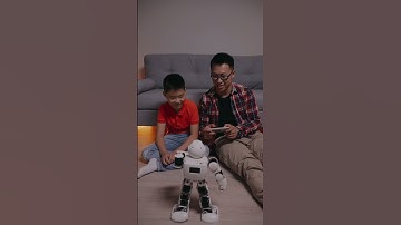 Python vs Javascript #shorts #javascript #python