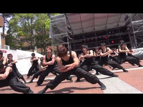 大阪大学お祭りダンスサークル祭楽人 いちょう祭2014(南中ソーラン)