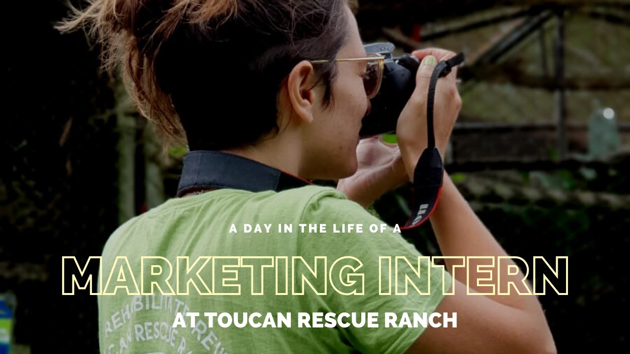 A Day in the Life of a Marketing Intern - YouTube