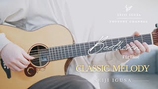 Für Elise - Beethoven | Fingerstyle Guitar | Seiji Igusa