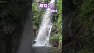 #무지개 #임영웅
