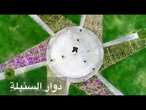 تصوير جوي لمدخل مرتفعات الشبحه شرق محافظة املج