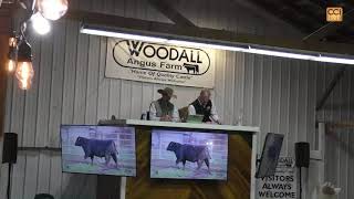 30th Annual Quality Matters Spring Production Sale FEB 2025_Feb24_18-38-03.mp4