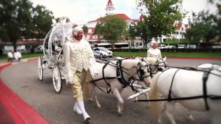 WDW Fairytale Dream Wedding and Epcot Living Seas Reception