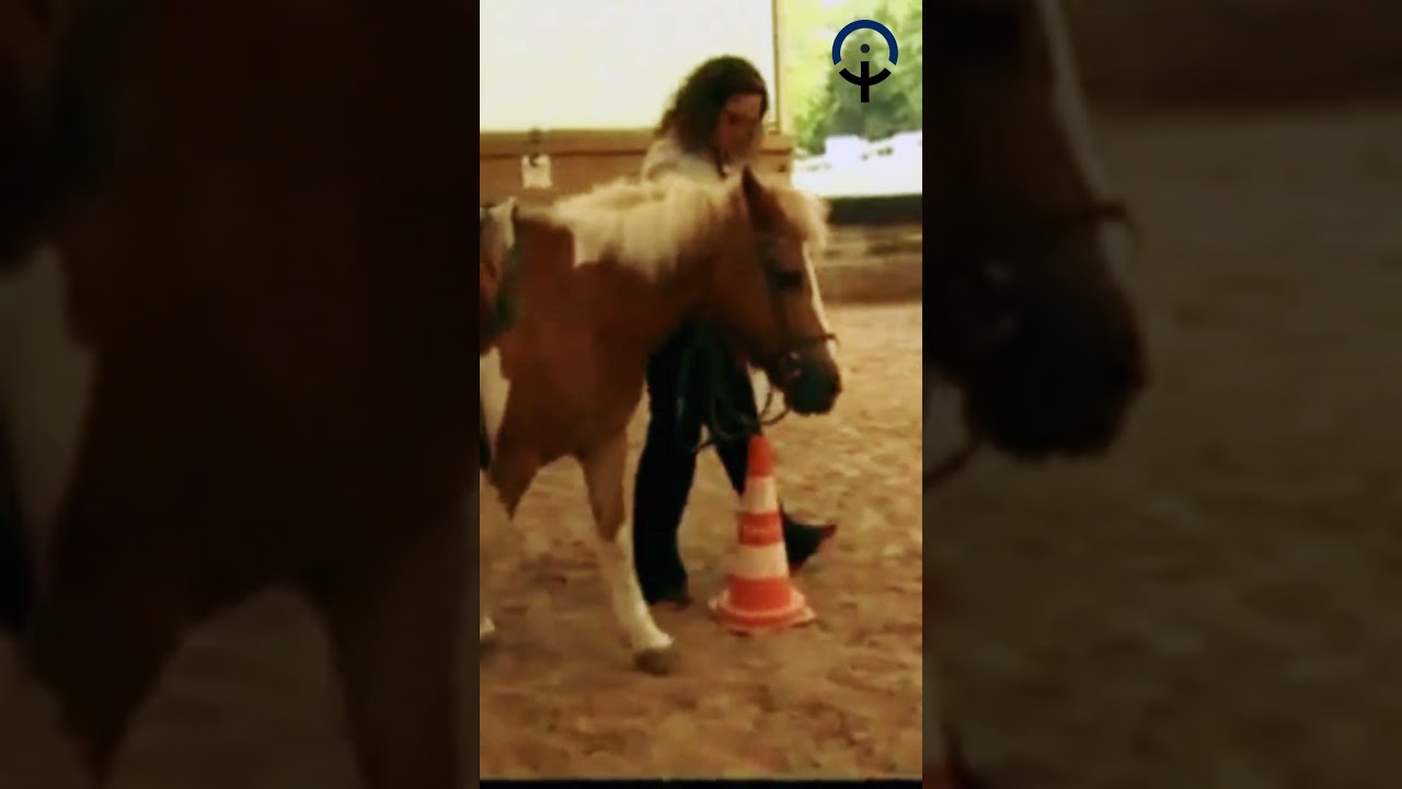 [Réel] En séance d'équithérapie avec Sonia Boros