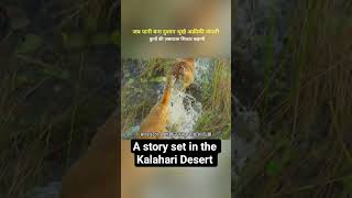 When water became the enemy of hungry African wild animals.The story of a powerful hunting dog#viral