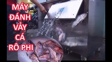 hướng dẫn sử dụng máy đánh vảy cá đa năng takyo, video đanh vảy cá rô phi