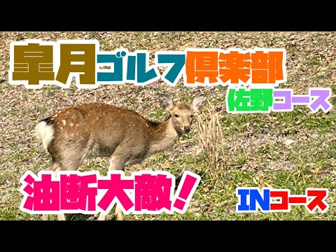 イーグル炸裂したのにアイアンで致命傷！　皐月ゴルフ倶楽部　佐野コース　イン