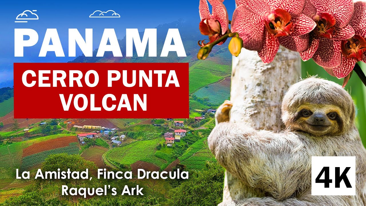 [4K]🇵🇦 Walk in Volcán and Cerro Punta, Chiriquí, Panama. La Amistad Park, Finca Dracula, Raquels Ark