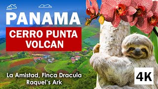 [4K]🇵🇦 Walk in Volcán and Cerro Punta, Chiriquí, Panama. La Amistad Park, Finca Dracula, Raquels Ark