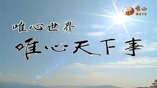 開南天之禪機 王禪老祖心法【唯心天下事3960】｜ WXTV唯心電視台