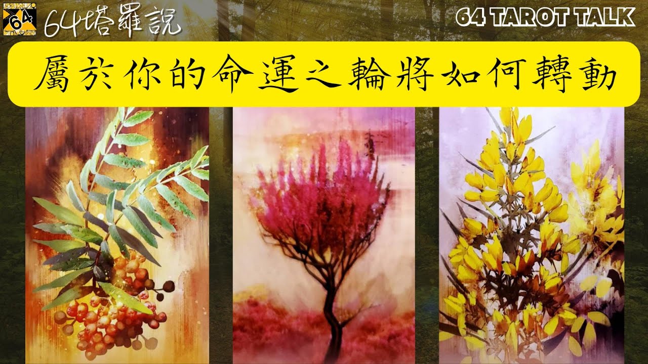 🛞屬於你的命運之輪將如何轉動🌈十年大運如何翻轉🦋你的逆轉勝將迎來什麼轉變☘️什麼將過去什麼將到來🔮塔羅占卜🎁64塔羅說💕64 TAROT TALK⌛TIMELESS🌈PICK A CARD✨
