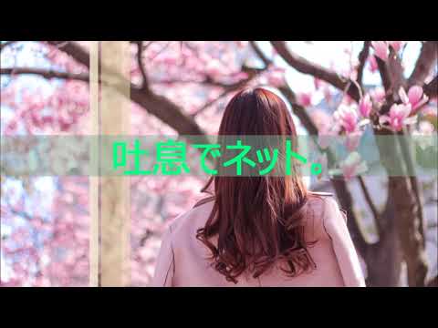 【春の音友祭】💗吐息でネット。（南野陽子さん）Stella⭐