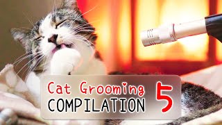 [3 HOURS] 🎧 ASMR Cat Grooming Compilation Vol. 5 | Curry Sugar Meow