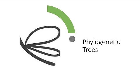 Phylogenetic trees