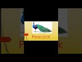 Animal Names Quiz for Kids #kidssongs #cocomelon #nurseryrhymes