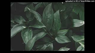 WizKid - Blessed ft. Damian Marley (s l o w e d + r e v e r b)