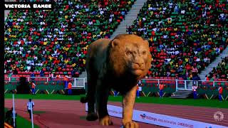 Virtual Effect Lion at Afcon Cameroon Opening Ceremony