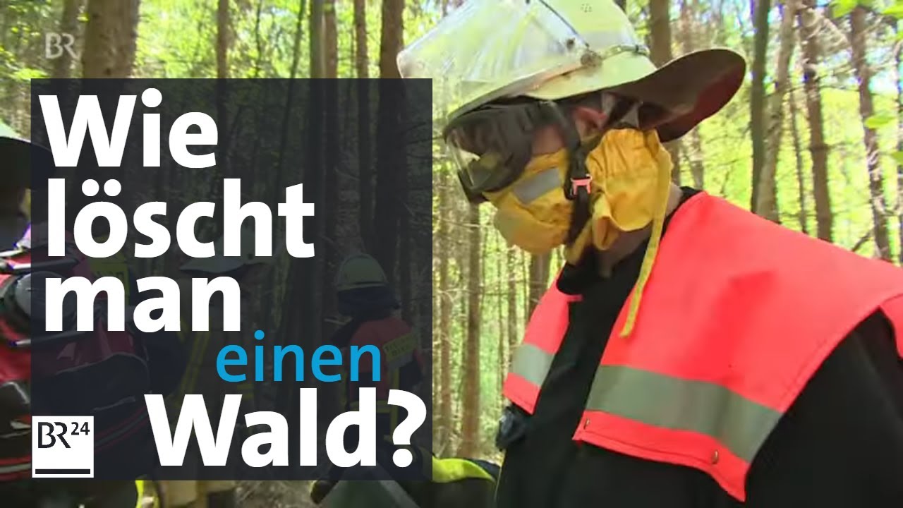 Waldbrände: Neue Herausforderungen für die Freiwillige Feuerwehr  | BR24