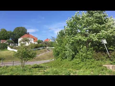 Ifvarssons trädgård # 2'