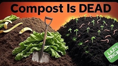 Why I’ll Never Make Compost Again This Lazy Trick Works Better