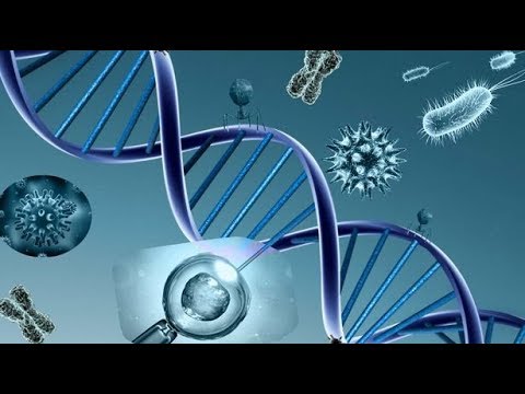 Video: Genome široké Epigenomické Profilování Pro Objev Biomarkerů