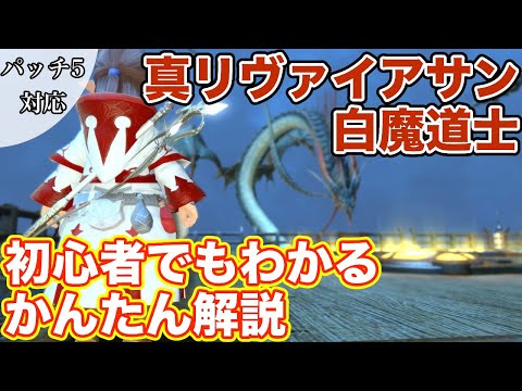 【FF14】真リヴァイアサンにヒーラー(白魔道士)で挑戦【新生編の討滅戦 パッチ5】