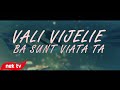 Vali Vijelie - Ba sunt viata ta [lyric video]