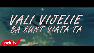 Vali Vijelie - Ba sunt viata ta [lyric video]