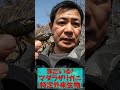 クローン、マダラザリガニ!まだいる!愛媛県松山市!みんなで拡散防止! Marbled crayfish, Procambarus virginalis ≫生物ハンター加藤英明【公式】かとチャン