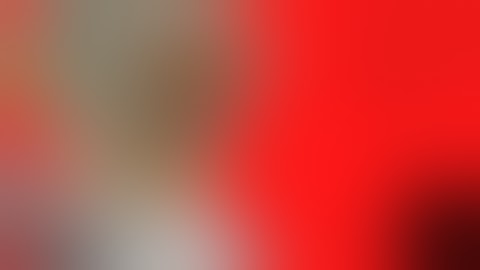 .feast tarot | alight motion