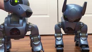 Prototype ICybie Robot Dog