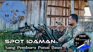KETEMU MARKAS RATUSAN PUNAI DAUN CARI MAKAN‼️BIKIN BETAH NYANGGONG SEHARIAN