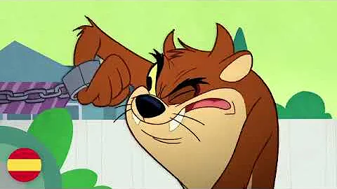 Looney Tuesdays   'Tazmanian Meltdown' Sung in 10 Different Languages!