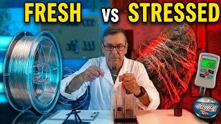 STOP Using OLD Fishing Line !! ( 3-Year Torture Test )
