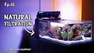 My path towards NATURAL FILTRATION WITHOUT EQUIPMENT | Ep.61