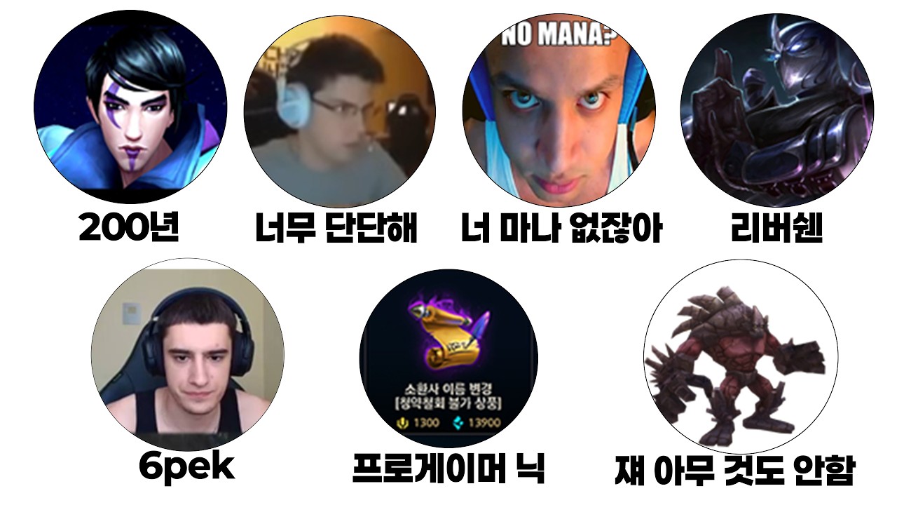 서양 롤판 밈 10분 요약