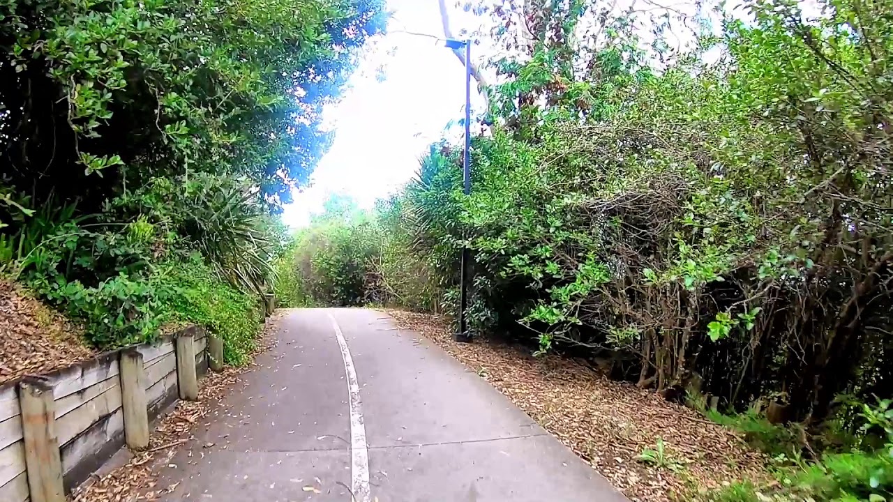 36min Virtual Run - Scenic Walkway in Orewa New Zealand - YouTube