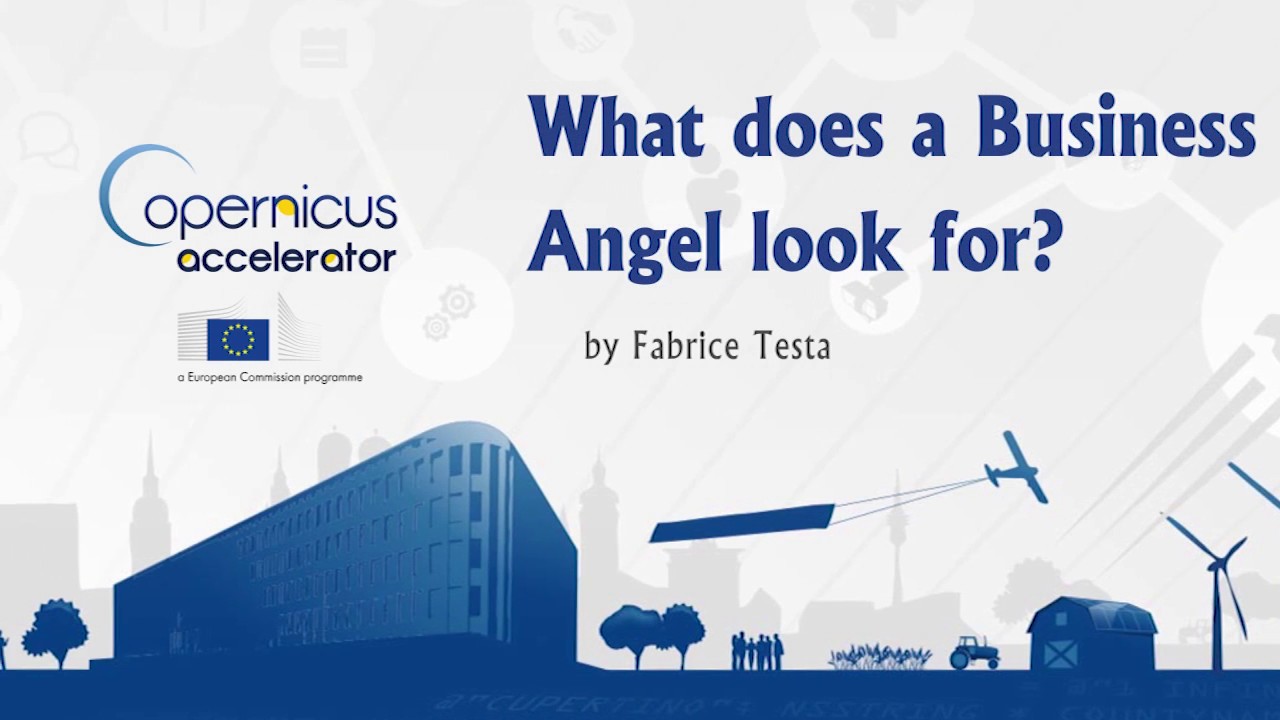 What Does a Business Angel Look For