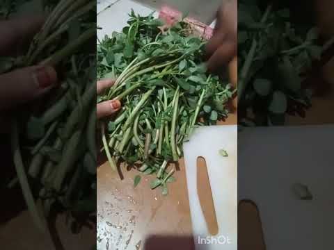 صحاب السكري والكلى والمبولة ها الدواء ترجلة ولا الرجلة شاركت معاكم طريقة التحضير ديالها فوائدها كثار